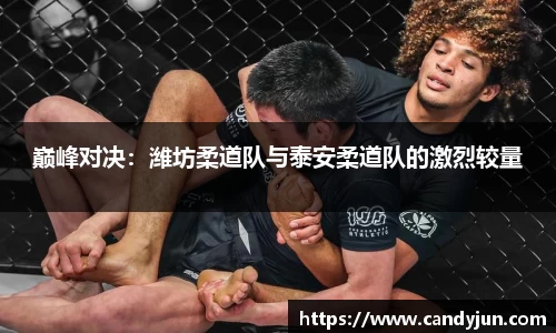巅峰对决：潍坊柔道队与泰安柔道队的激烈较量