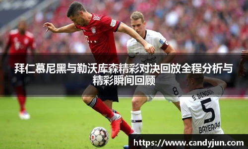 k1体育